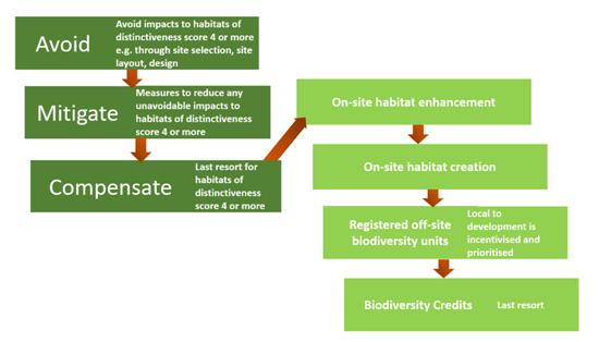 mitigation hierarchy and biodiversity gain hierarchy flow